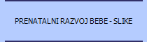 PRENATALNI RAZVOJ BEBE - SLIKE