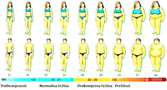 INDEKS TJELESNE MASE (ITM) - BODY MASS INDEX
